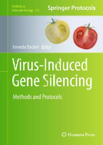 خرید و دانلود نسخه کامل کتاب Virus-Induced Gene Silencing: Methods and Protocols_68e6e99dcef5b.jpeg خرید و دانلود نسخه کامل کتاب Virus-Induced Gene Silencing: Methods and Protocols