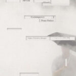 خرید و دانلود نسخه کامل کتاب Visual Devices in Contemporary Prose Fiction: Gaps, Gestures, Images