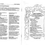خرید و دانلود نسخه کامل کتاب Vol. 13: Tyalie Tyelellieva