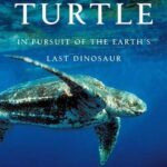 خرید و دانلود نسخه کامل کتاب Voyage of the Turtle: In Pursuit of the Earth’s Last Dinosaur