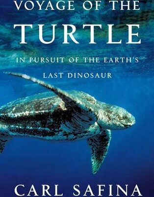 خرید و دانلود نسخه کامل کتاب Voyage of the Turtle: In Pursuit of the Earth’s Last Dinosaur