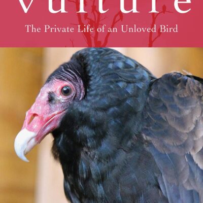 خرید و دانلود نسخه کامل کتاب Vulture: The Private Life of an Unloved Bird