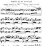 خرید و دانلود نسخه کامل کتاب Wagner – Siegfried and the Wood-bird (piano)