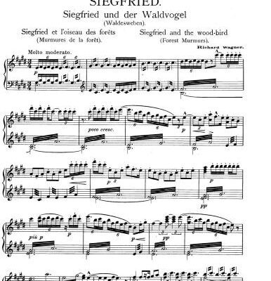 خرید و دانلود نسخه کامل کتاب Wagner – Siegfried and the Wood-bird (piano)
