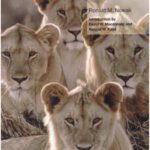 خرید و دانلود نسخه کامل کتاب Walker’s Carnivores of the World