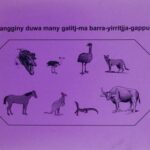 خرید و دانلود نسخه کامل کتاب Wangginy duwa many galitj-ma barra-yirritjja-gappul