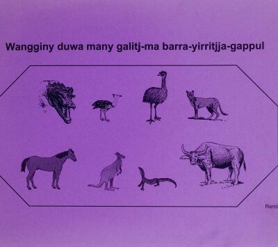 خرید و دانلود نسخه کامل کتاب Wangginy duwa many galitj-ma barra-yirritjja-gappul