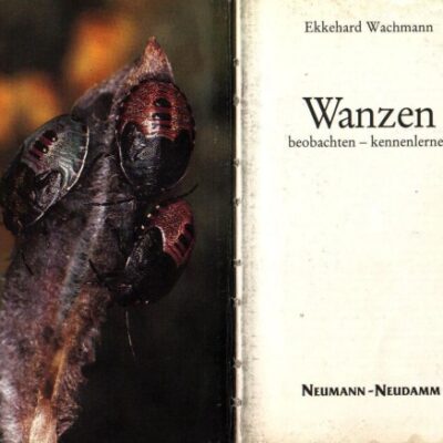 خرید و دانلود نسخه کامل کتاب Wanzen : beobachten – kennenlernen