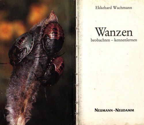 خرید و دانلود نسخه کامل کتاب Wanzen : beobachten – kennenlernen_68e7bb470f6c6.jpeg خرید و دانلود نسخه کامل کتاب Wanzen : beobachten – kennenlernen