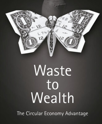 خرید و دانلود نسخه کامل کتاب Waste to Wealth: The Circular Economy Advantage