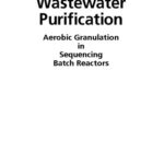 خرید و دانلود نسخه کامل کتاب Wastewater Purification Aerobic Granulation in Sequencing Batch Reactors