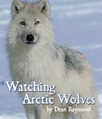 خرید و دانلود نسخه کامل کتاب Watching Arctic Wolves