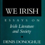 خرید و دانلود نسخه کامل کتاب We Irish: Essays on Irish Literature and Society