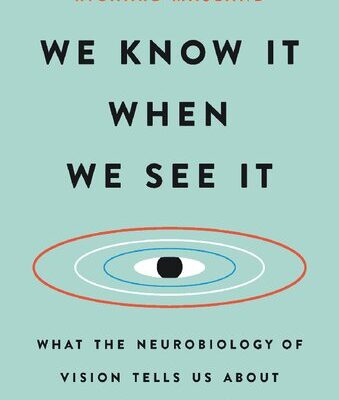 خرید و دانلود نسخه کامل کتاب We know it when we see it. What the neurobiology of vision tells us about how we think