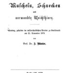 خرید و دانلود نسخه کامل کتاب Weber Muscheln, Schnecken und verwandte Weichthiere [Weichtiere]. Vortrag, gehalten im wiſſenſchaftlichen Vereine zu Greifswald am 21. November 1875