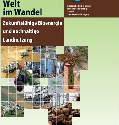 خرید و دانلود نسخه کامل کتاب Welt im Wandel: Zukunftsfahige Bioenergie und nachhaltige Landnutzung (German Edition)