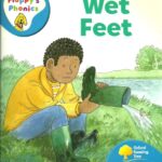 خرید و دانلود نسخه کامل کتاب Wet Feet