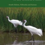 خرید و دانلود نسخه کامل کتاب Wetland Birds of the Central Plains: South Dakota, Nebraska and Kansas