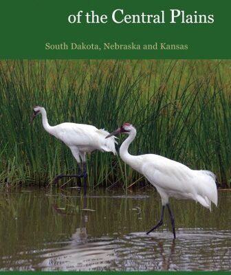 خرید و دانلود نسخه کامل کتاب Wetland Birds of the Central Plains: South Dakota, Nebraska and Kansas
