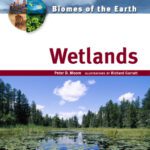 خرید و دانلود نسخه کامل کتاب Wetlands (Biomes of the Earth)