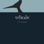خرید و دانلود نسخه کامل کتاب Whale (Reaktion Books – Animal)