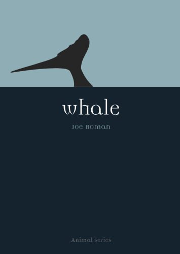خرید و دانلود نسخه کامل کتاب Whale (Reaktion Books – Animal)_68e7cab9f344d.jpeg خرید و دانلود نسخه کامل کتاب Whale (Reaktion Books – Animal)