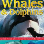 خرید و دانلود نسخه کامل کتاب Whales and Dolphins (Eye Wonder)