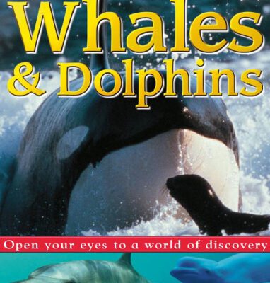 خرید و دانلود نسخه کامل کتاب Whales and Dolphins (Eye Wonder)