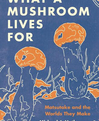 خرید و دانلود نسخه کامل کتاب What a Mushroom Lives for: Matsutake and the Worlds They Make
