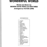 خرید و دانلود نسخه کامل کتاب What a Wonderful World band