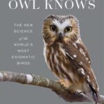 خرید و دانلود نسخه کامل کتاب What an Owl Knows: The New Science of the World’s Most Enigmatic Birds