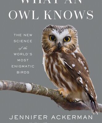 خرید و دانلود نسخه کامل کتاب What an Owl Knows: The New Science of the World’s Most Enigmatic Birds