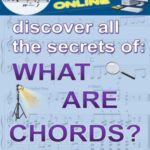 خرید و دانلود نسخه کامل کتاب What Are Chords?