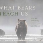 خرید و دانلود نسخه کامل کتاب What Bears Teach Us