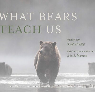 خرید و دانلود نسخه کامل کتاب What Bears Teach Us