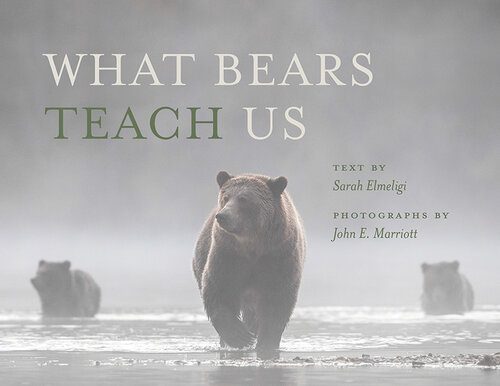 خرید و دانلود نسخه کامل کتاب What Bears Teach Us_68e05e521e018.jpeg خرید و دانلود نسخه کامل کتاب What Bears Teach Us