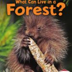 خرید و دانلود نسخه کامل کتاب What Can Live in a Forest? (First Step Nonfiction: Animal Adaptations)