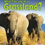 خرید و دانلود نسخه کامل کتاب What Can Live in a Grassland? (First Step Nonfiction: Animal Adaptations)