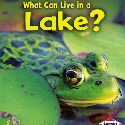 خرید و دانلود نسخه کامل کتاب What Can Live in a Lake? (First Step Nonfiction: Animal Adaptations)