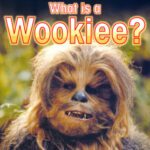 خرید و دانلود نسخه کامل کتاب What Is a Wookiee