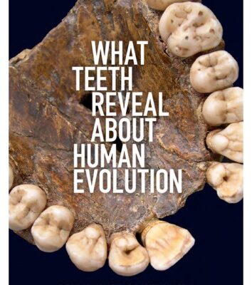 خرید و دانلود نسخه کامل کتاب What teeth reveal about human evolution