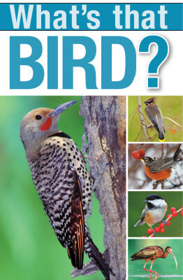 خرید و دانلود نسخه کامل کتاب What’s that Bird? A Beginner’s Guide