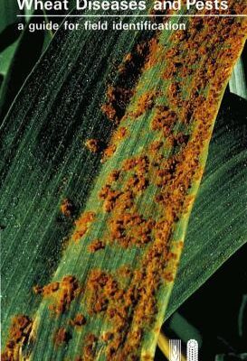 خرید و دانلود نسخه کامل کتاب Wheat Diseases and Pests: A Guide for Field Identification