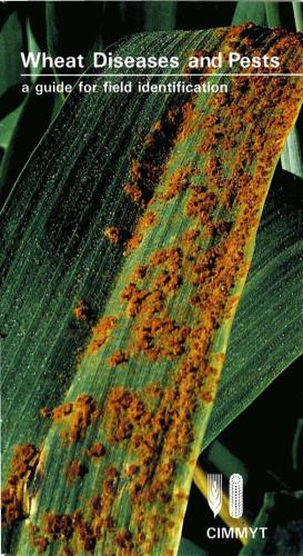 خرید و دانلود نسخه کامل کتاب Wheat Diseases and Pests: A Guide for Field Identification_68e9c83b421c1.jpeg خرید و دانلود نسخه کامل کتاب Wheat Diseases and Pests: A Guide for Field Identification