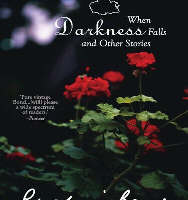 خرید و دانلود نسخه کامل کتاب When Darkness Falls and Other Stories