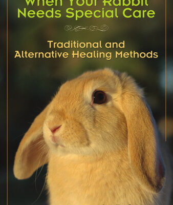 خرید و دانلود نسخه کامل کتاب When Your Rabbit Needs Special Care: Traditional and Alternative Healing Methods