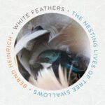 خرید و دانلود نسخه کامل کتاب White Feathers