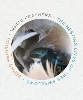 خرید و دانلود نسخه کامل کتاب White Feathers