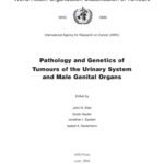 خرید و دانلود نسخه کامل کتاب WHO Classification of Tumours Pathology and Genetics of Tumours of the Urinary System and Male Genital Organs