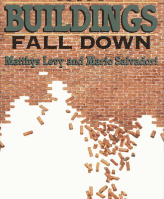 خرید و دانلود نسخه کامل کتاب Why Buildings Fall Down